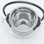 Borosilicate Glass Tea Pot