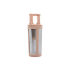 Borosilicate Glass Tea Bottle