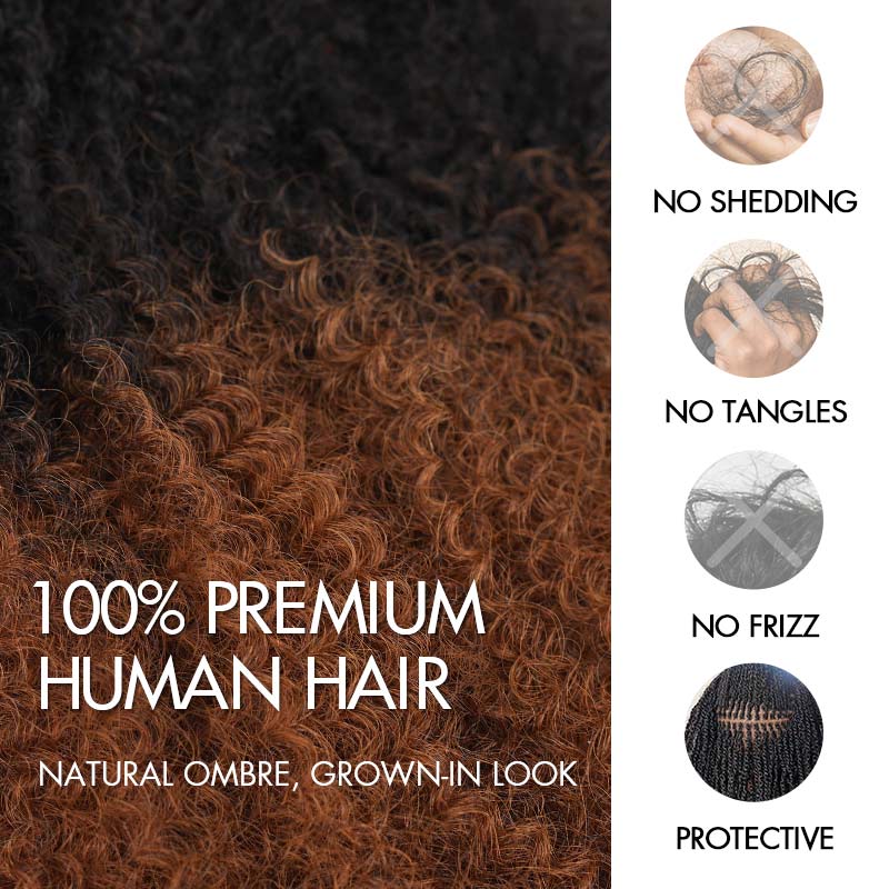 Member Sale | QVR Ombre Brown #T1B/30 Afro kinky Bulk Human Hair
