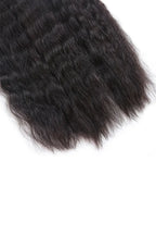 Double Drawn Wet & Wave Bulk Hair For Braiding Natural Black BU27